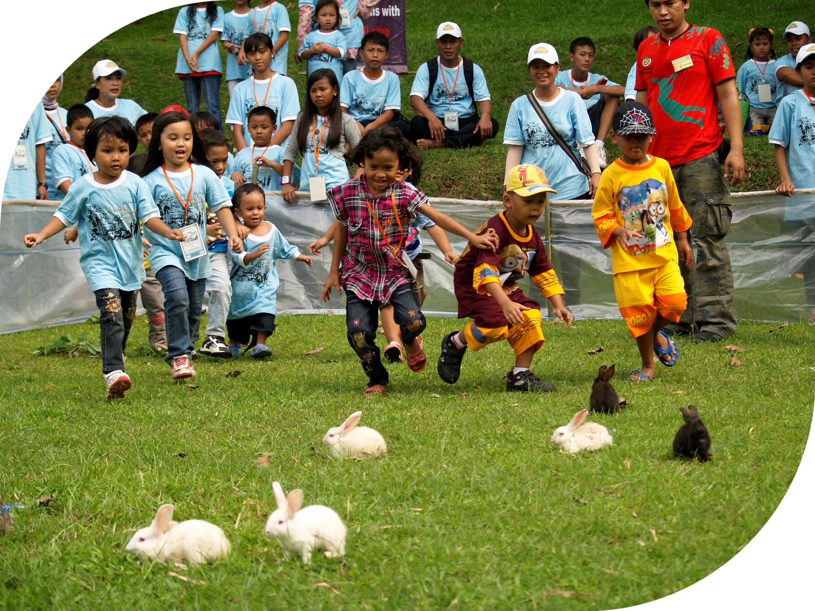 Rabbit Catching.jpg