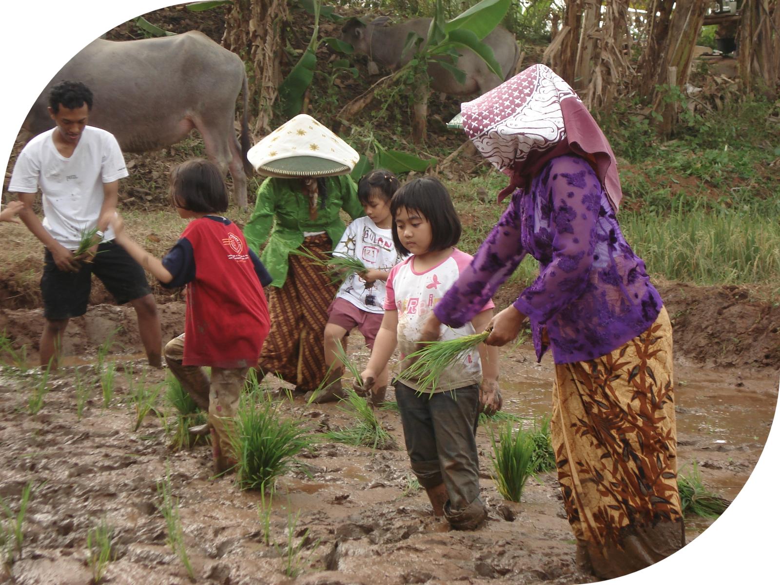 Kids Farming 1.jpg