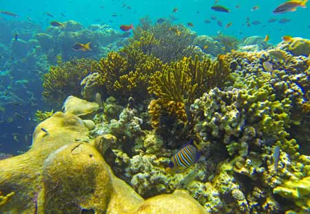 DiveTrip40.jpg