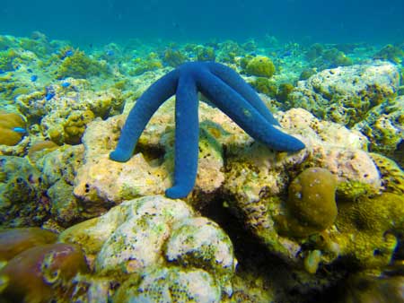 DiveTrip39.jpg