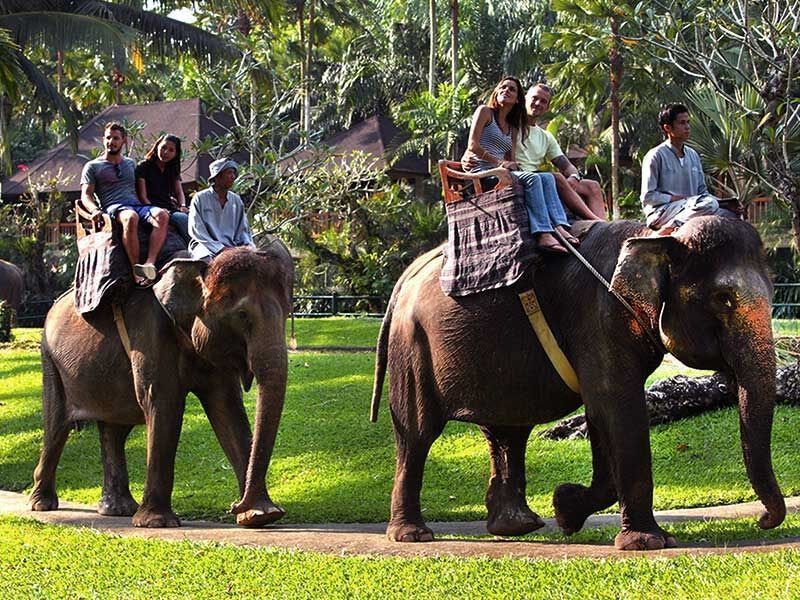 Fun Things To Do In Bali? Mason Elephant Safari Ride