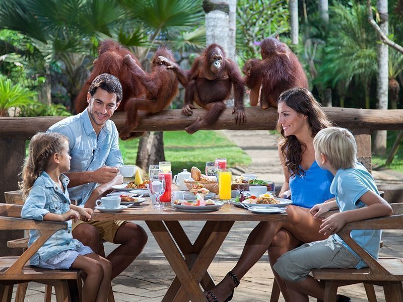 Things To Do In Bali: Bali Zoo