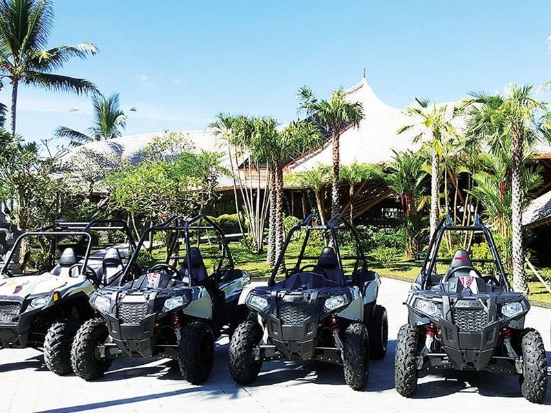 Jungle Buggy At Mason Adventures