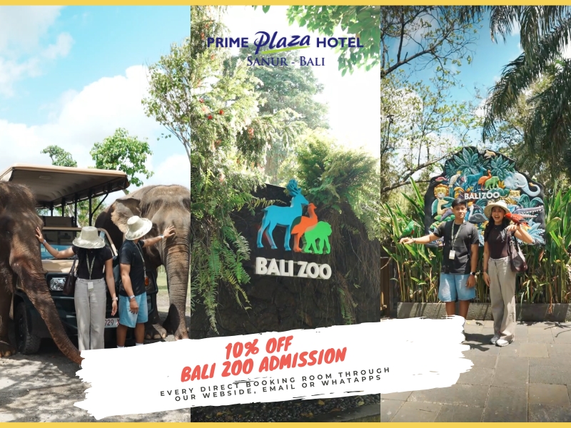 Bali Zoo Promo.jpg
