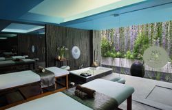 spa suite